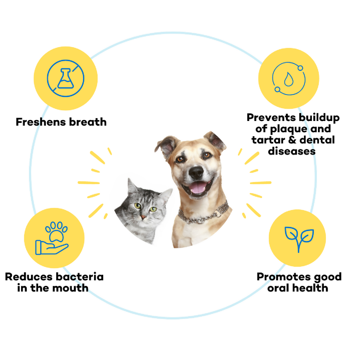 The Good Paws Ta Ta Tartar Dental Hygiene for Dogs and Cats