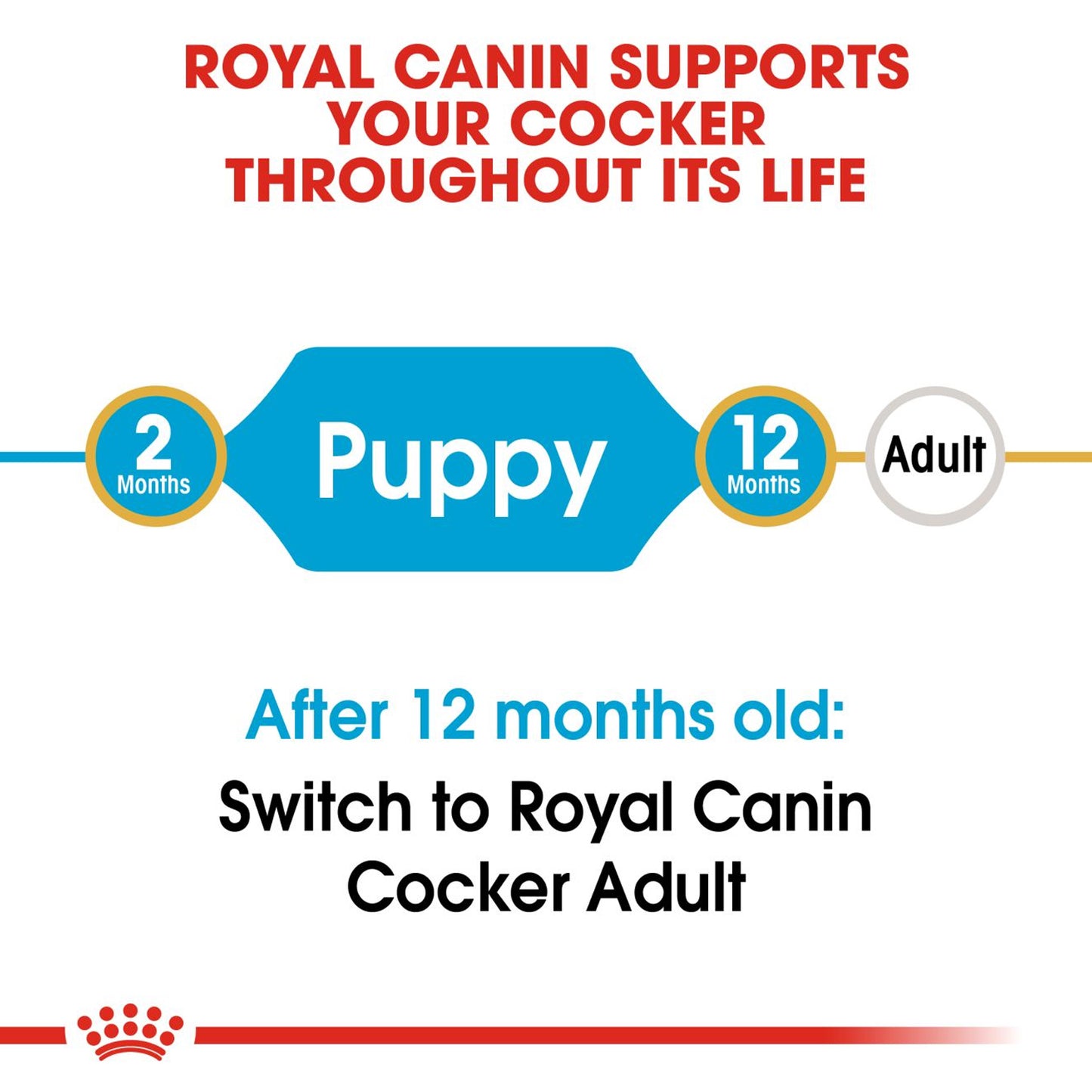Royal Canin - Cocker Puppy Dry Dog Food