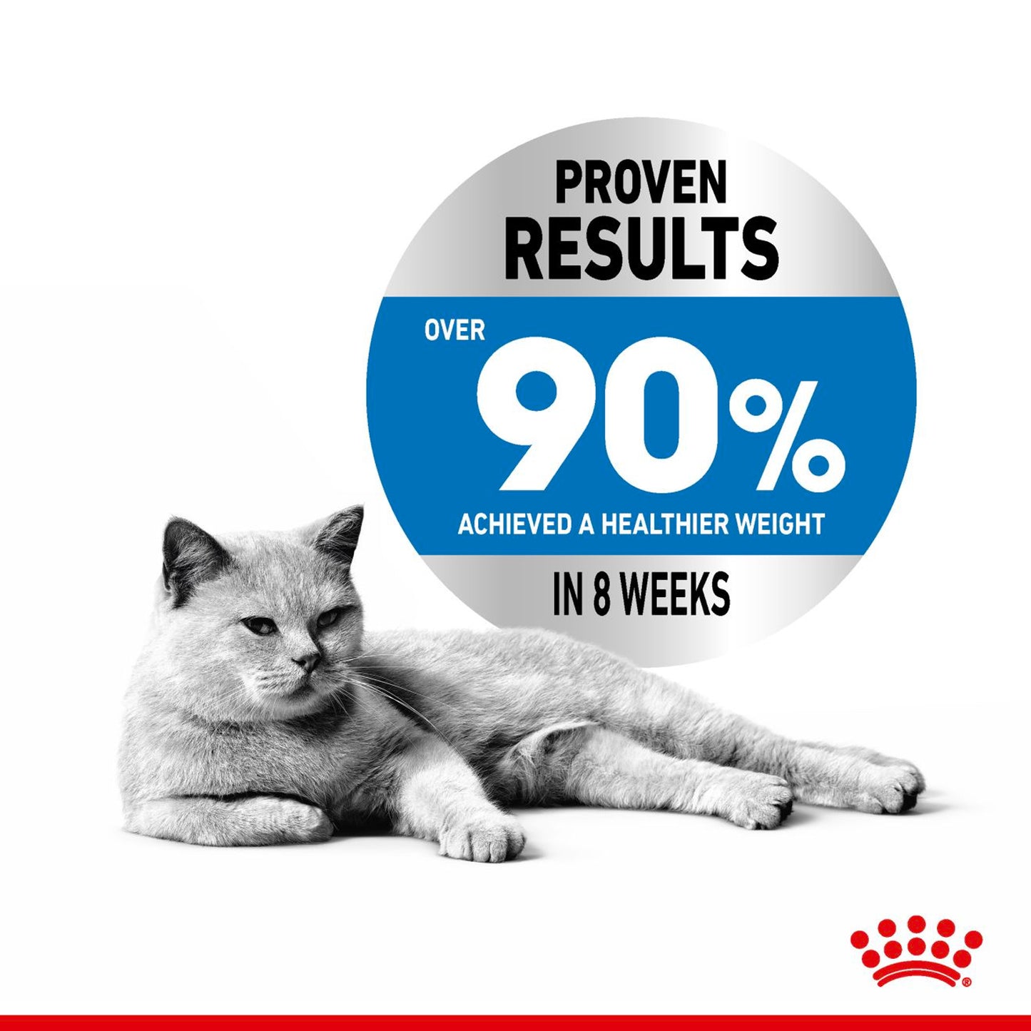 Royal Canin - Light Weight Care Wet Cat Food