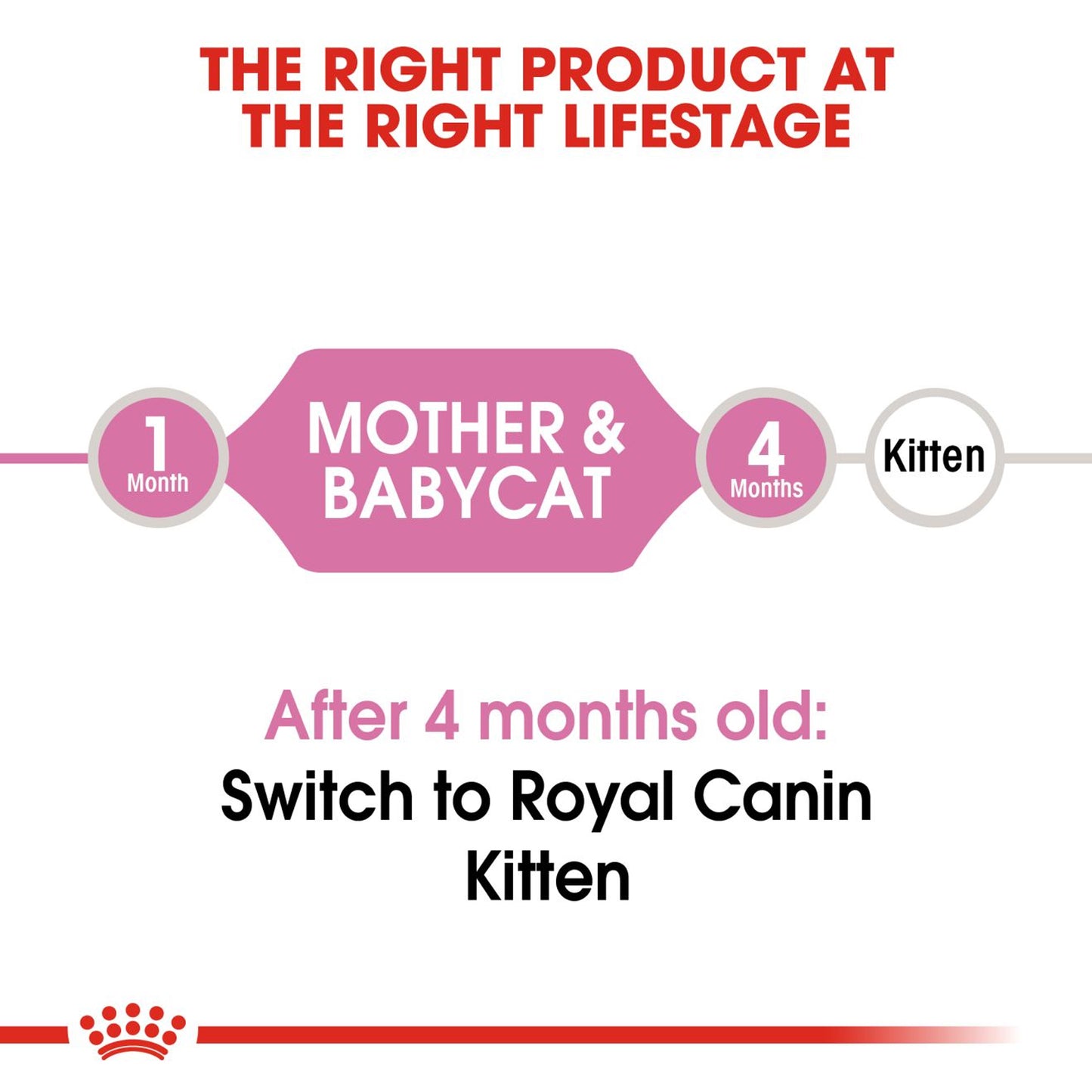 Royal Canin - Mother & Babycat Dry Cat Food