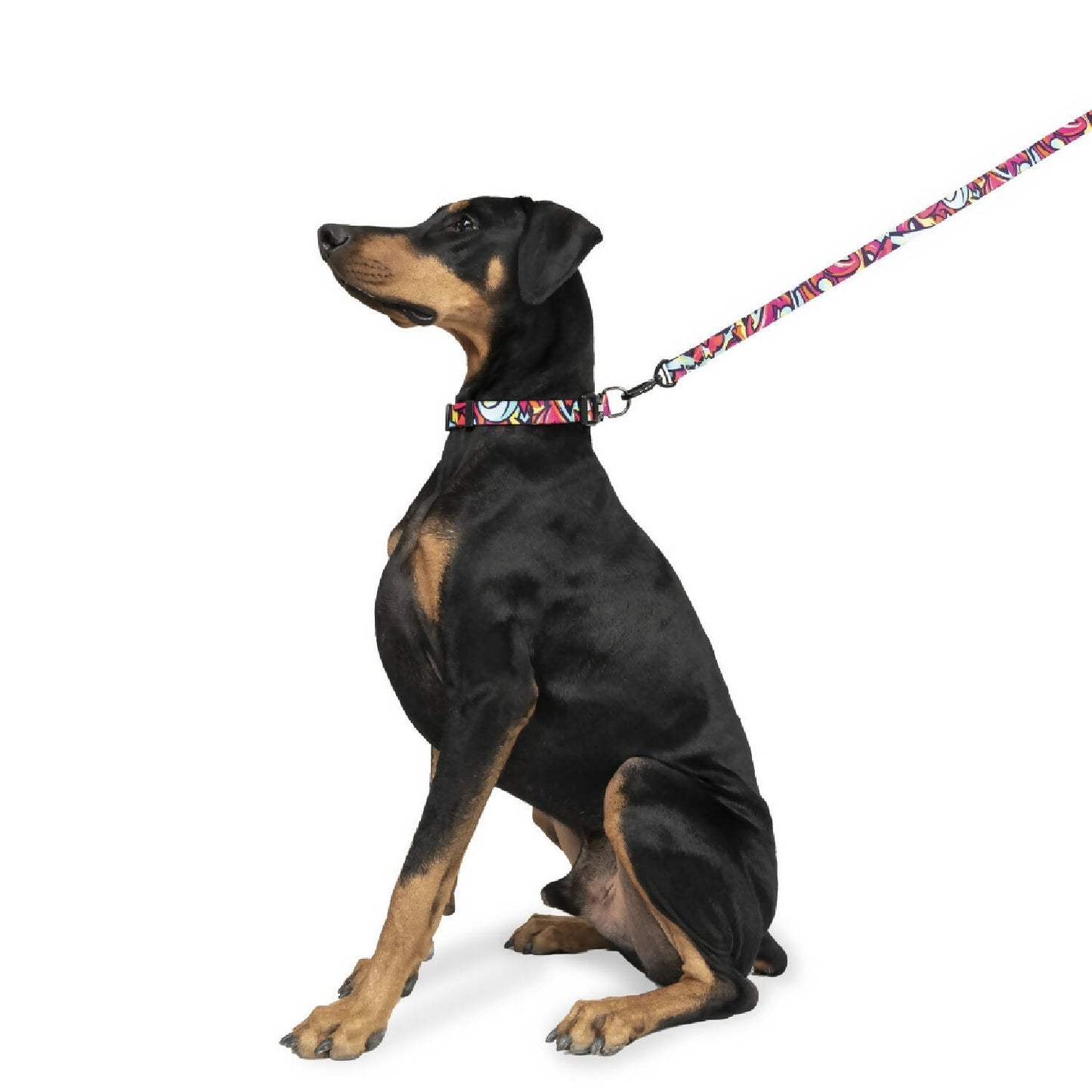 Zoomiez - Drip Printed Dog Collar