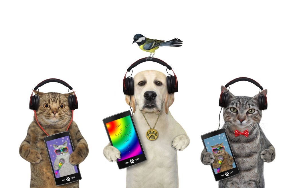 What Music Do Pets Like?What Music Do Pets Like?