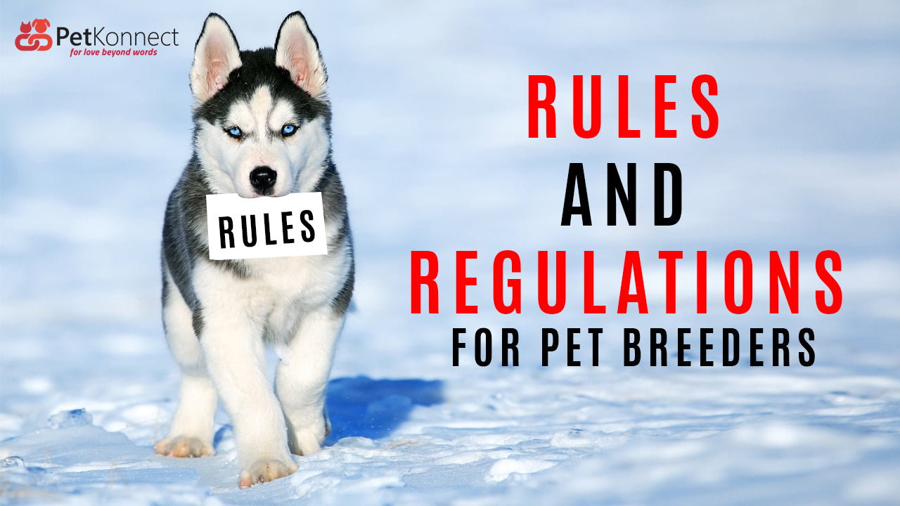 Pet Breeders - Rules and Regulations