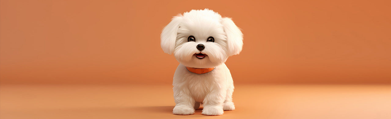 Choosing the Perfect Companion: A Guide to Toy Dog Breeds