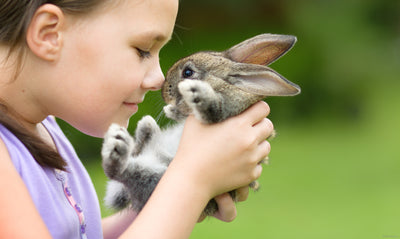 The benefits of having a pet for children