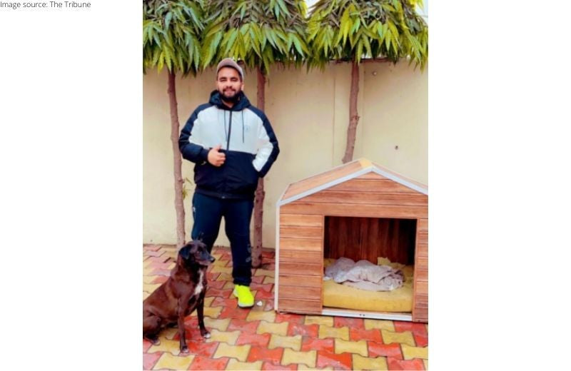 A Resident from Jalandhar Builds Small Kennels for Strays