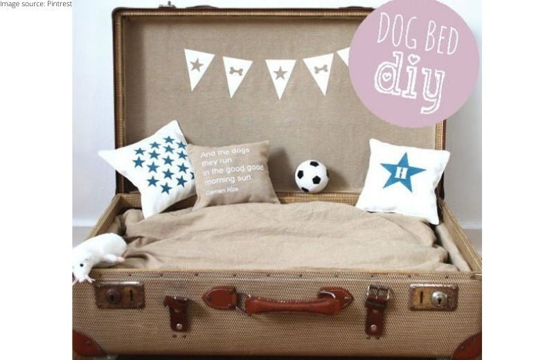 DIY a Suitcase Bed For your Furry One!