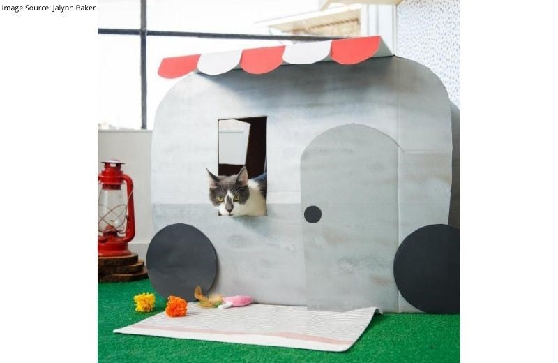 DIY Cat Camper