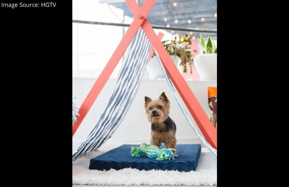 DIY Portable Tent for Your Pooch