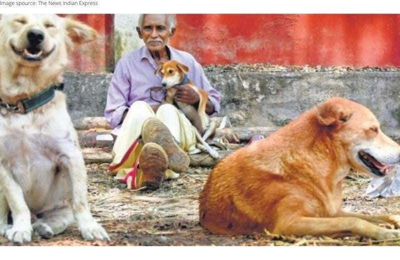 Man in Kerala Has Been Feeding the Strays For Over Two Decades