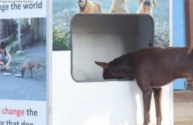 Nihit: A Machine That Feeds Stray Canines While Saving the Environment