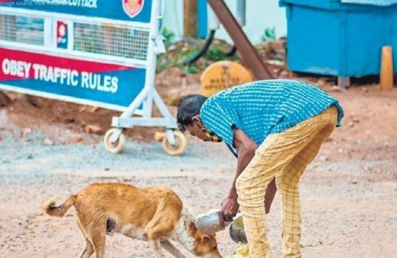 Odisha’s CM Allots Funds to Feed the Strays during the Lockdown