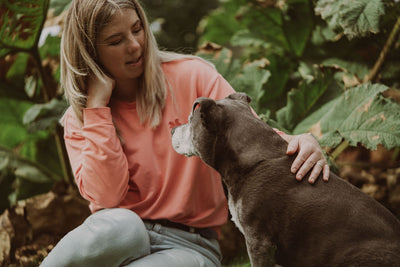 What to look for in a Pet sitter