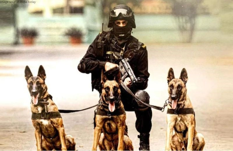 The Police Canine Squad’s Expansion Plan