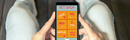 Safety Tips for Secure Pet Online Shopping: Protecting Your Furry Friends and Your Wallet