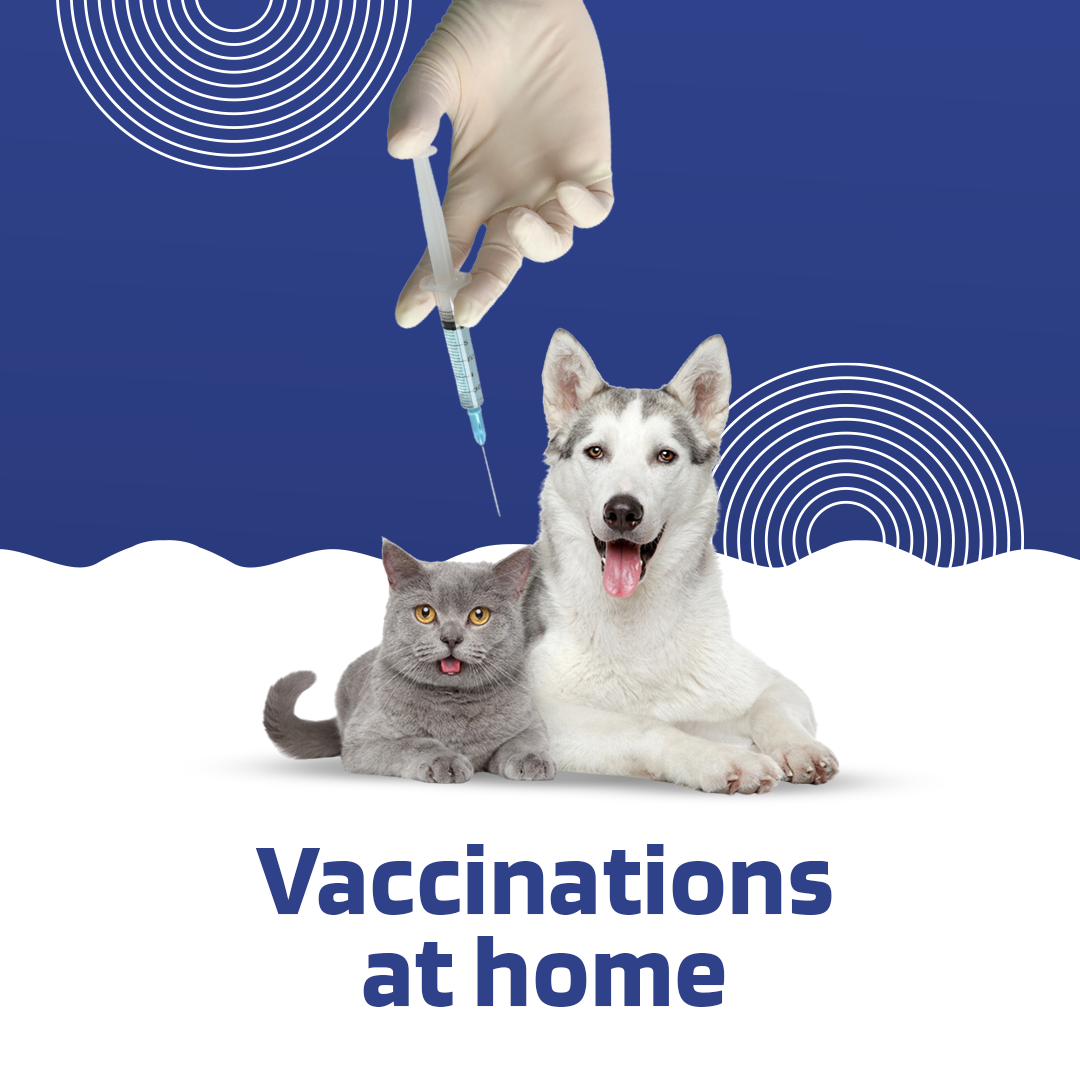 Vaccination at Home - Mumbai