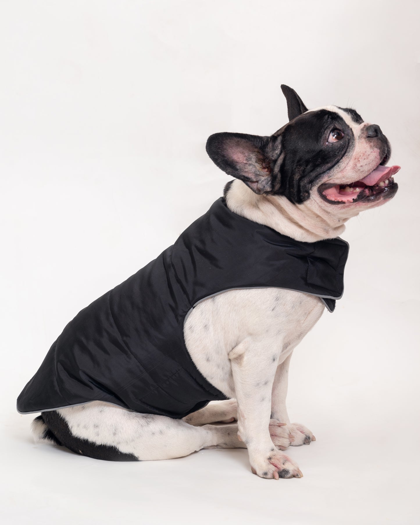 Petsnugs - Winter Flex jacket