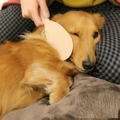 DoggyMan - Rice Paddle-shaped Grooming Brush For Dog