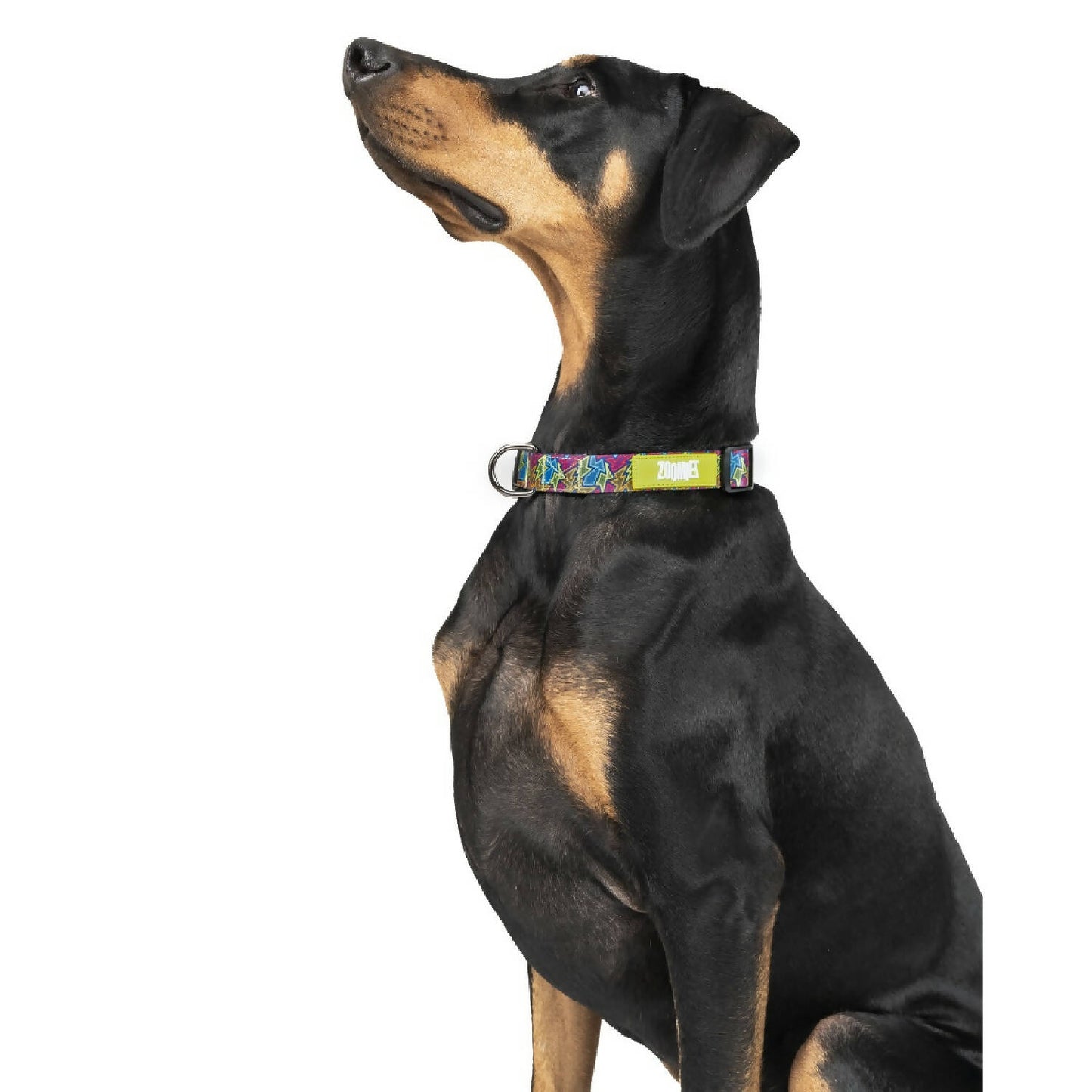 Zoomiez - Bolt Printed Dog Collar