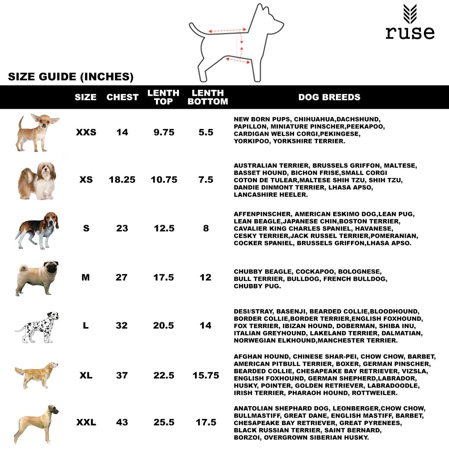 Ruse - Pugs Not Drugs Printed Tank Dog Tee
