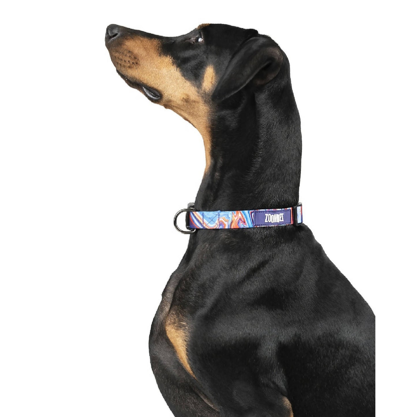 Zoomiez - Fluid Printed Dog Collar