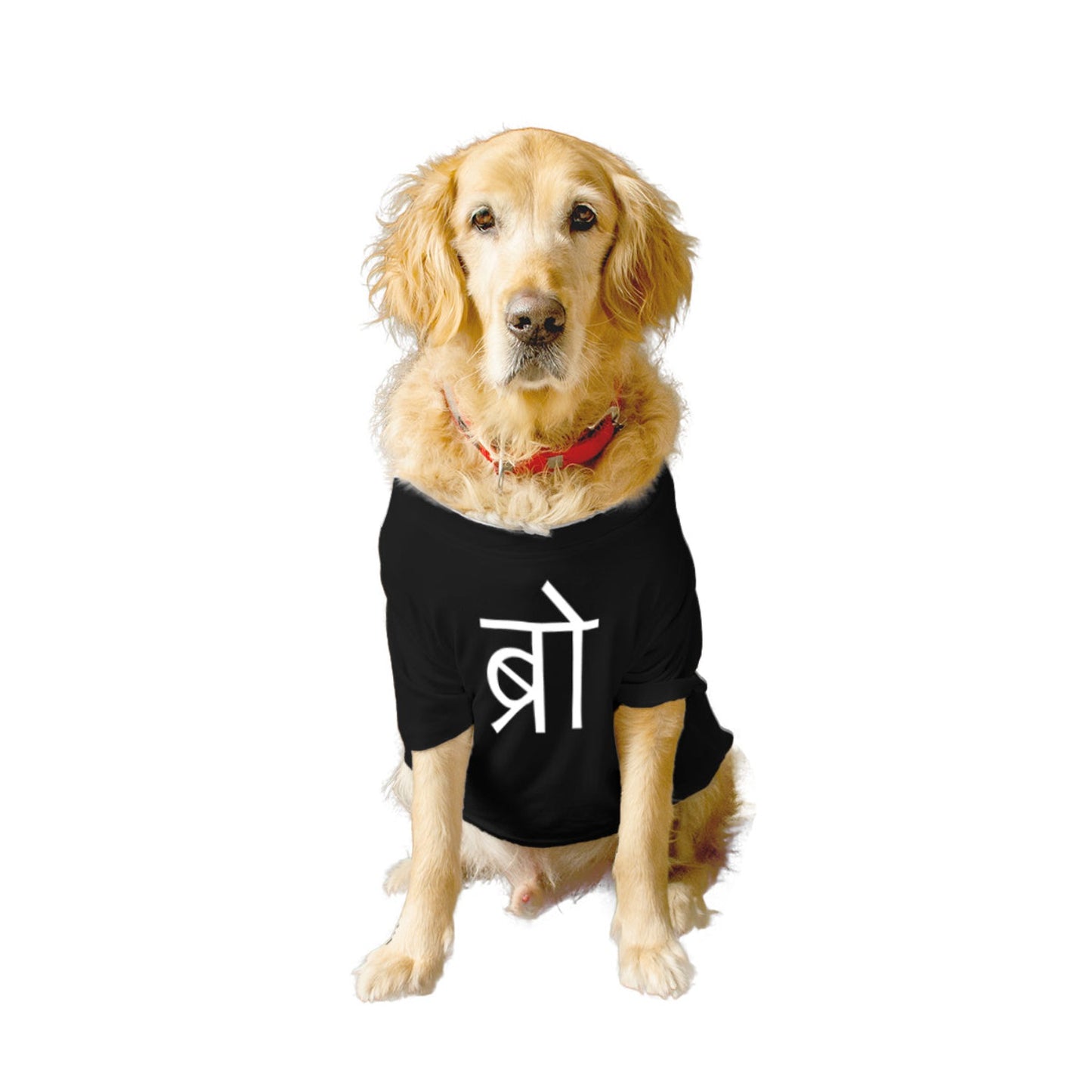 Ruse - Basic Crew Neck Desi Bro Printed Half Sleeves Dog Tee