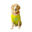 Ruse - Basic Crew Neck Family Favourite Printed Half Sleeves Dog Tee
