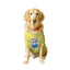 Ruse - Basic Crew Neck Birthday Boy - Printed Half Sleeves Dog Tee