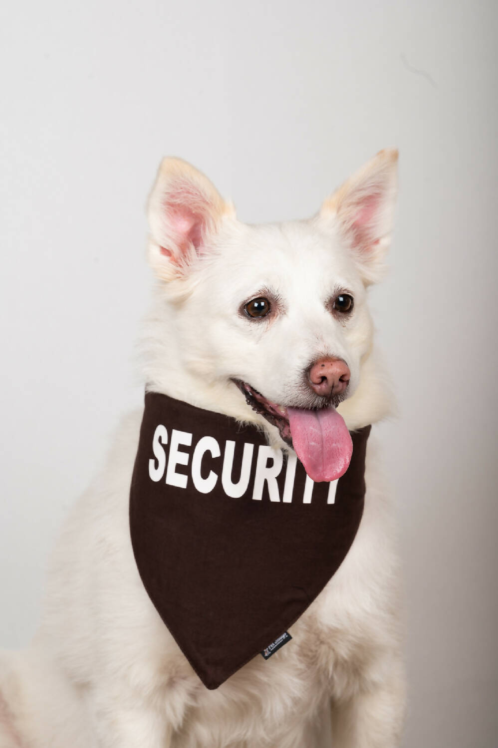 Petsnugs - Security Bandana- Brown for Dogs & Cats