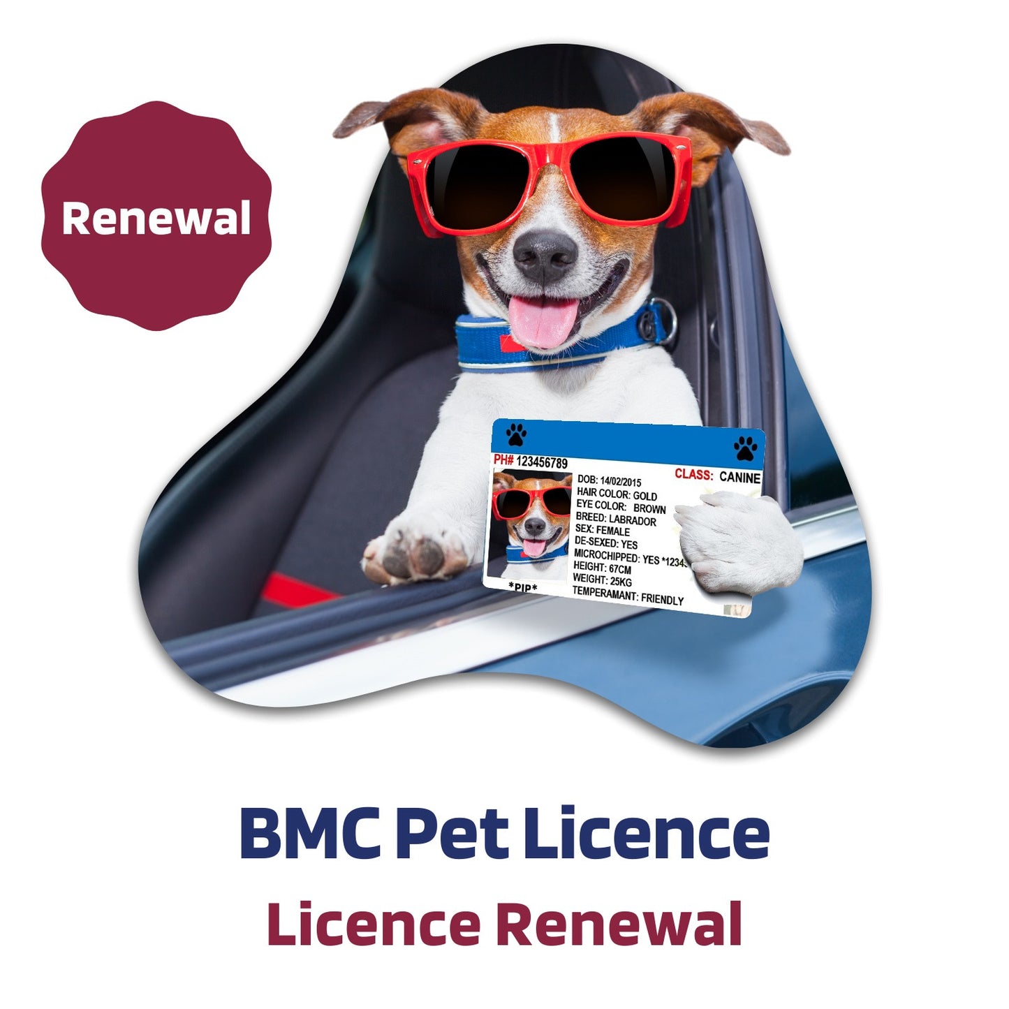 Dog License - Renewal (Mumbai Only)
