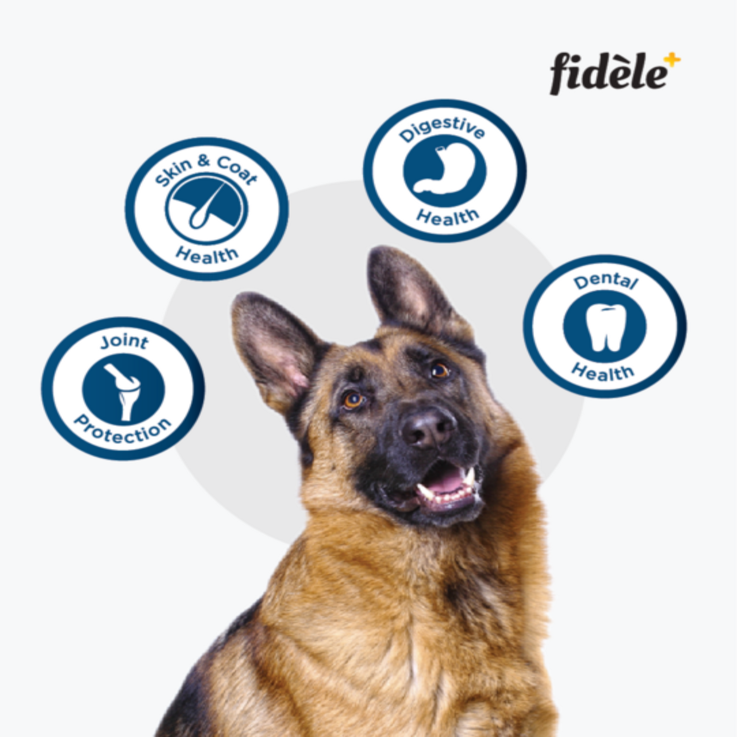 Fidele+ - Adult Large Dry Food For Dogs