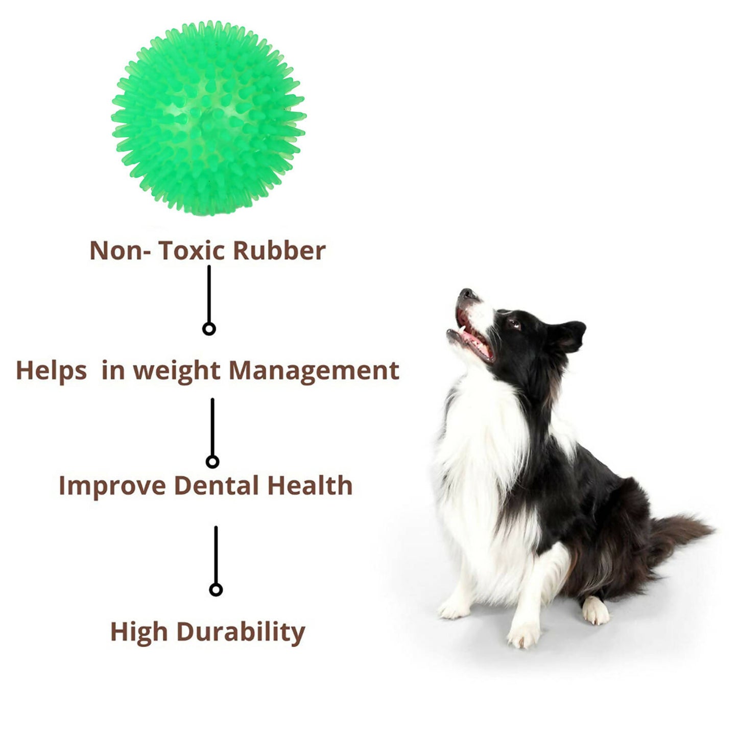 Basil - Squeaky Rubber Ball Toy For Dogs