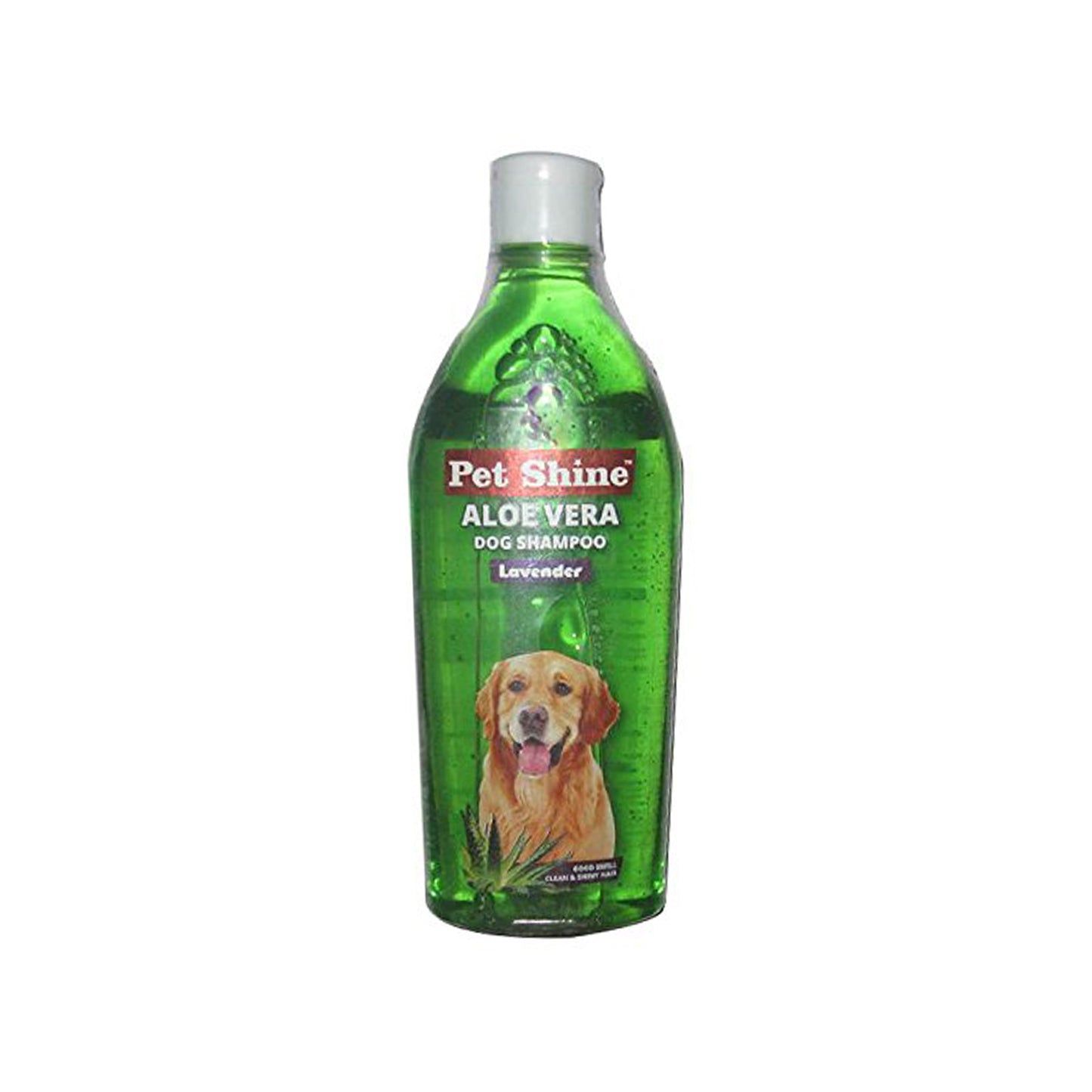 lavender shampoo