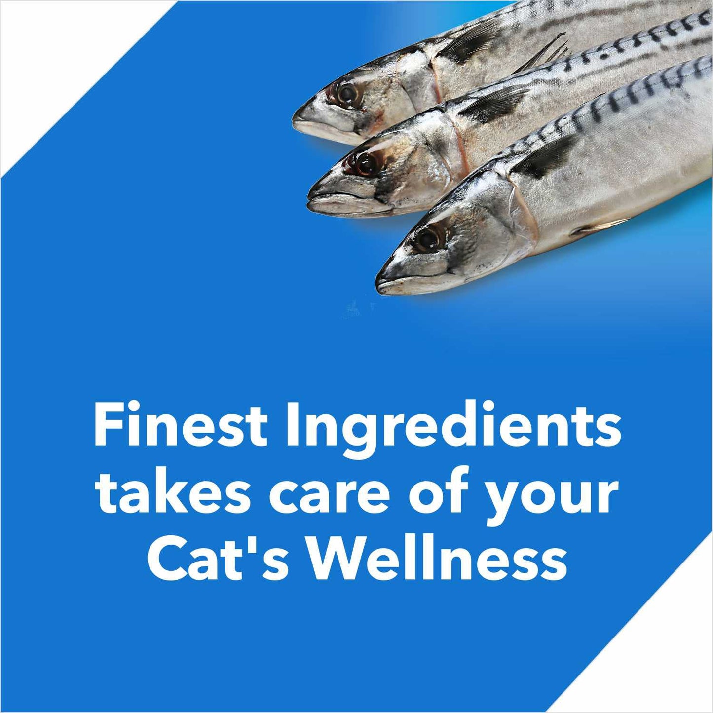 Drools - Ocean Fish Food for Adult Cat