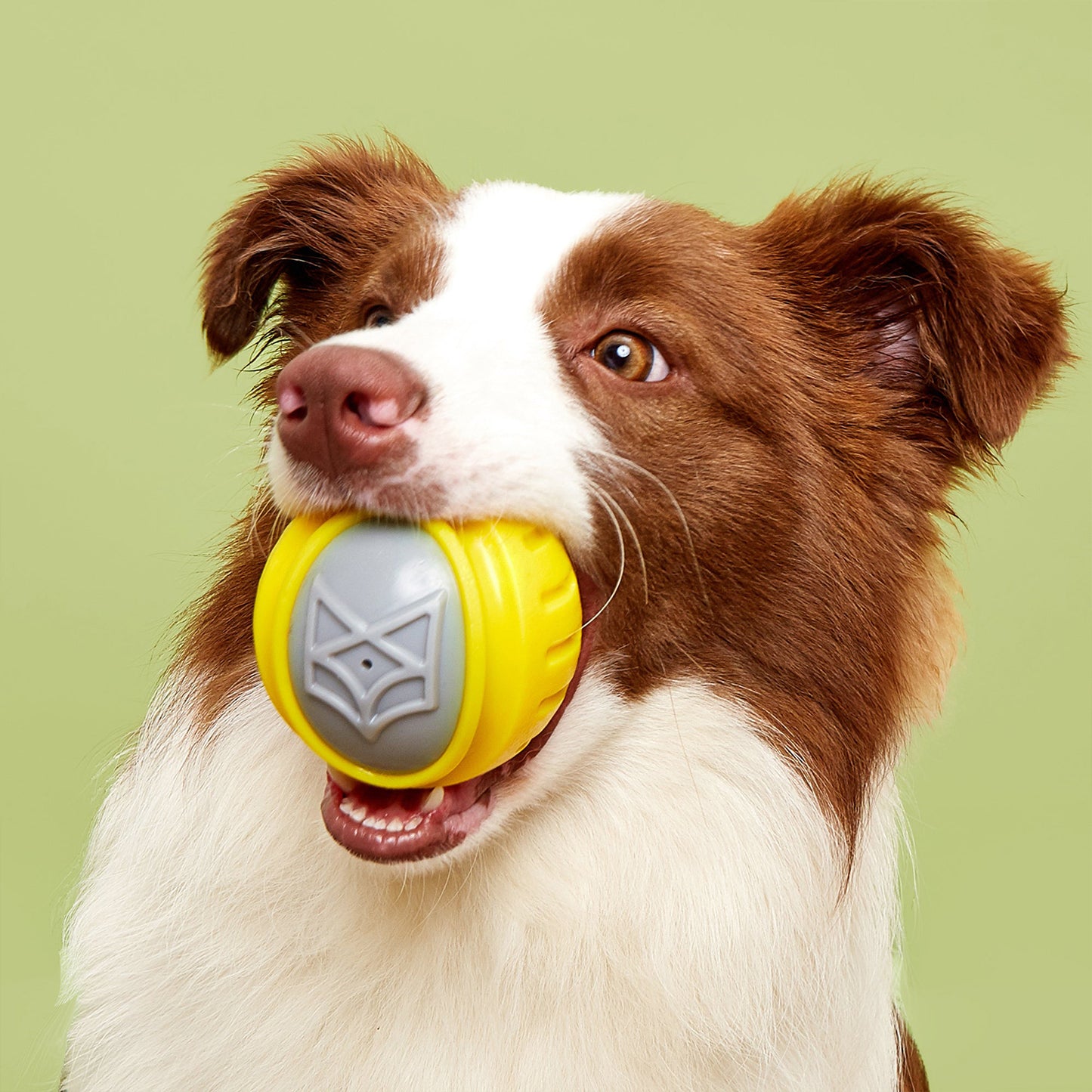 Fofos - Flexy Ball Ultra Bounce Durable Dog Toy