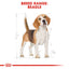 Royal Canin - Beagle Adult Dry Dog Food