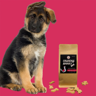Clever Canine - Chicken Liver Crunchy Bikkies Dog Biscuits