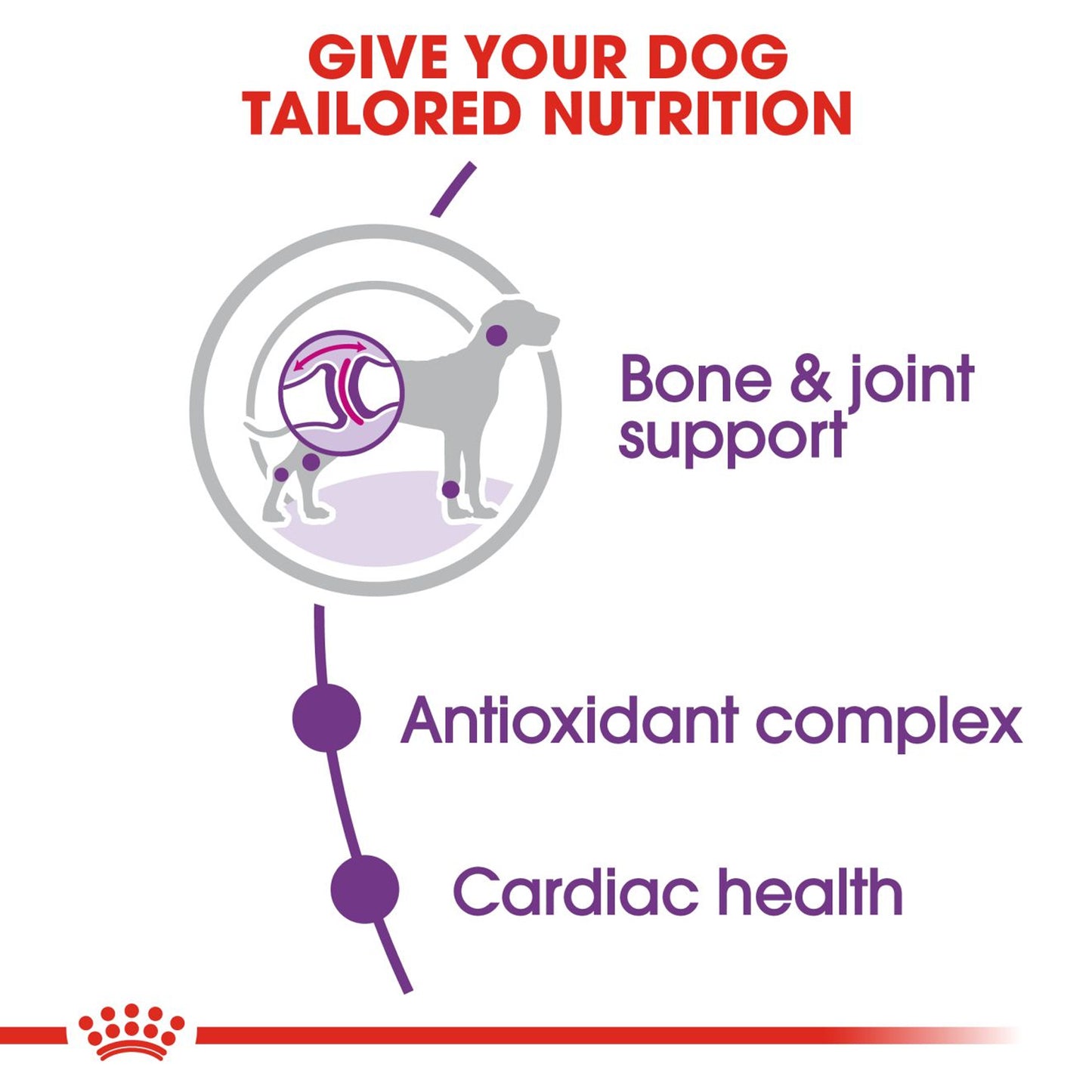 Royal Canin - Giant Adult Dry Dog Food