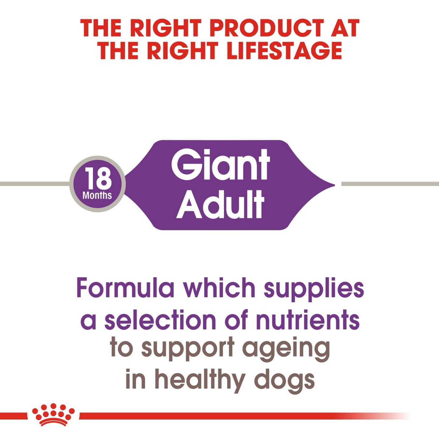Royal Canin - Giant Adult Dry Dog Food