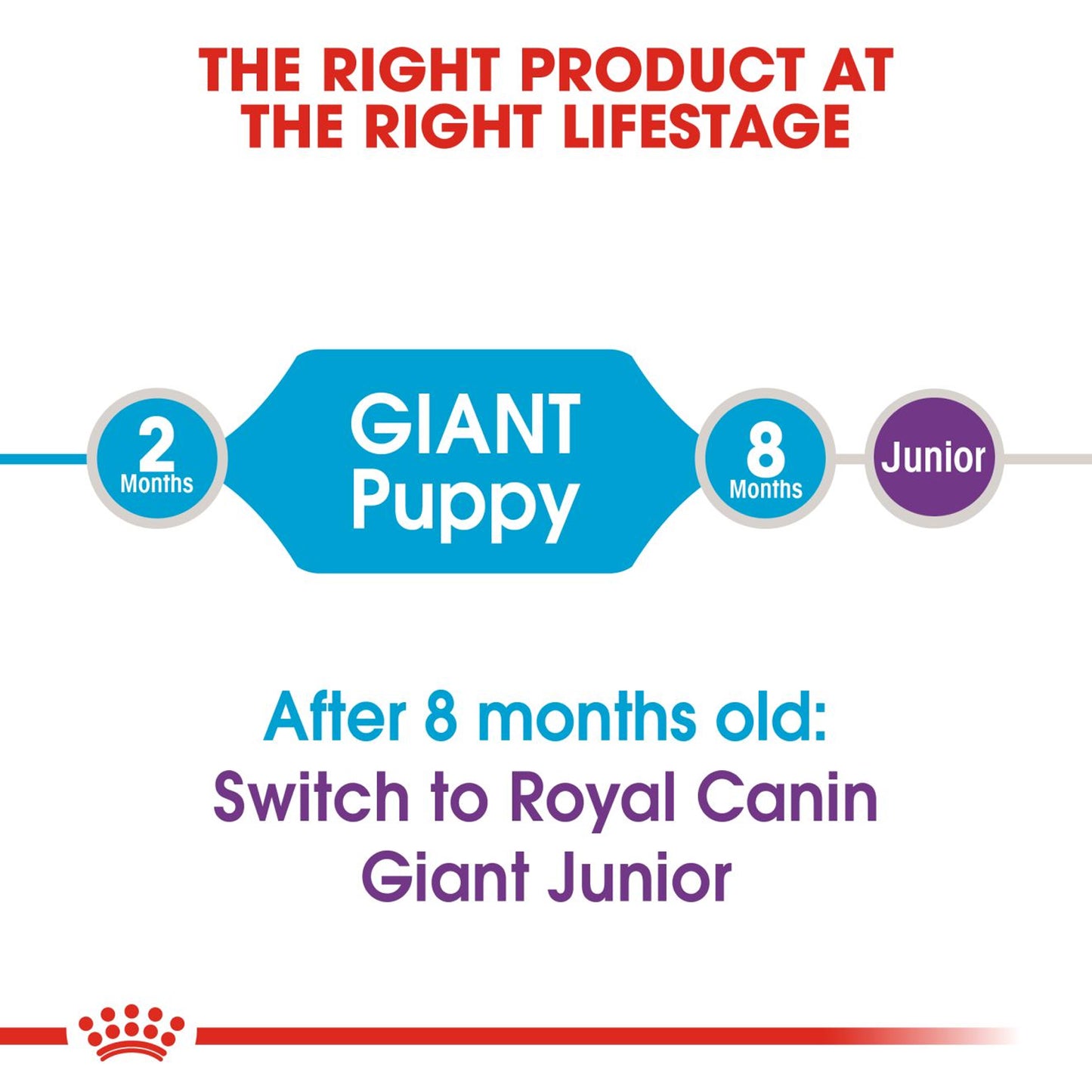 Royal Canin - Giant Puppy Dry Dog Food