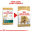Royal Canin - Golden Retriever Adult Dog Dry Food