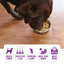 Goofy Tails - Chicken Meal Topper for Dogs and Puppies