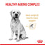 Royal Canin - Labrador  Adult 5+ Dry Dog Food