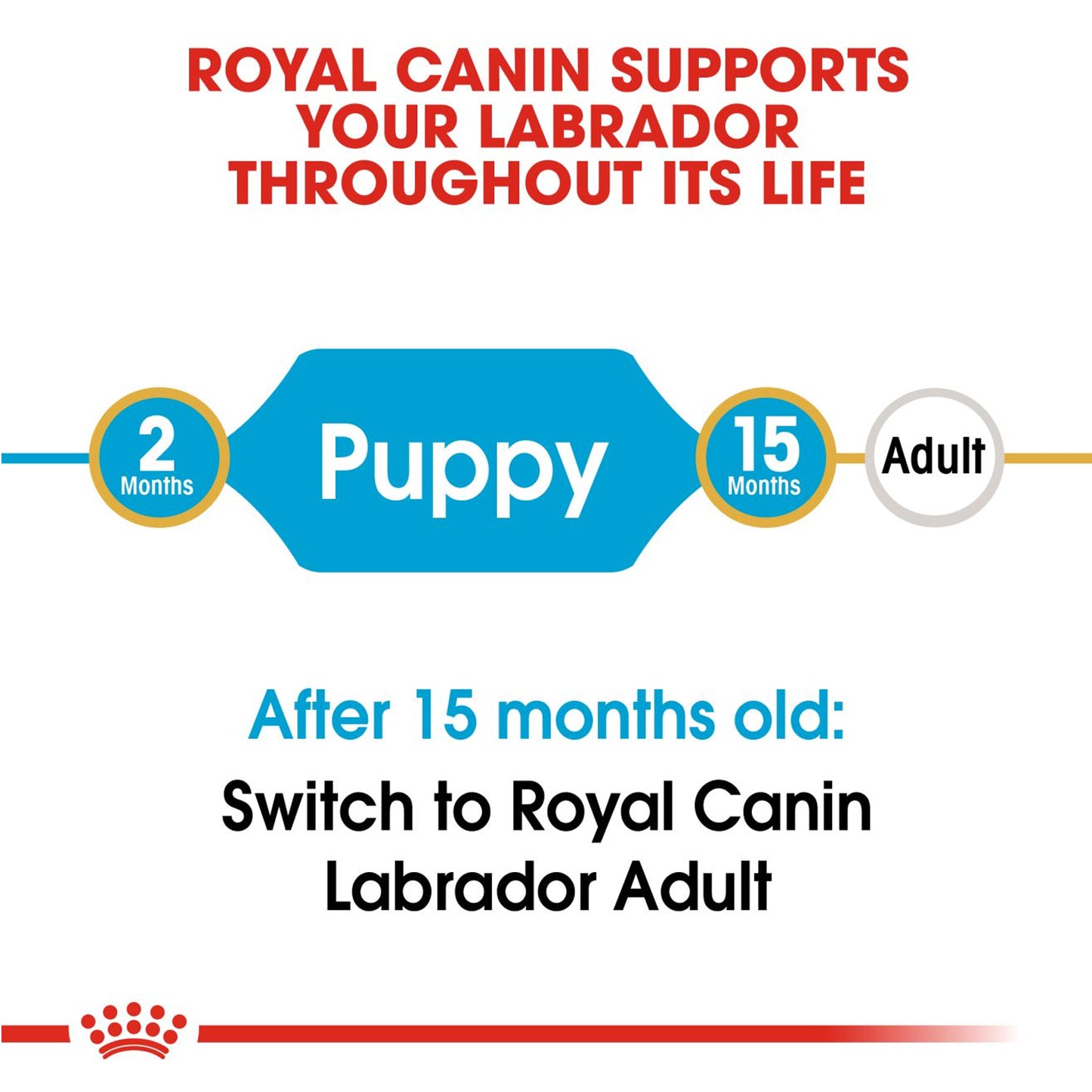 Royal Canin - Labrador Retriever Puppy