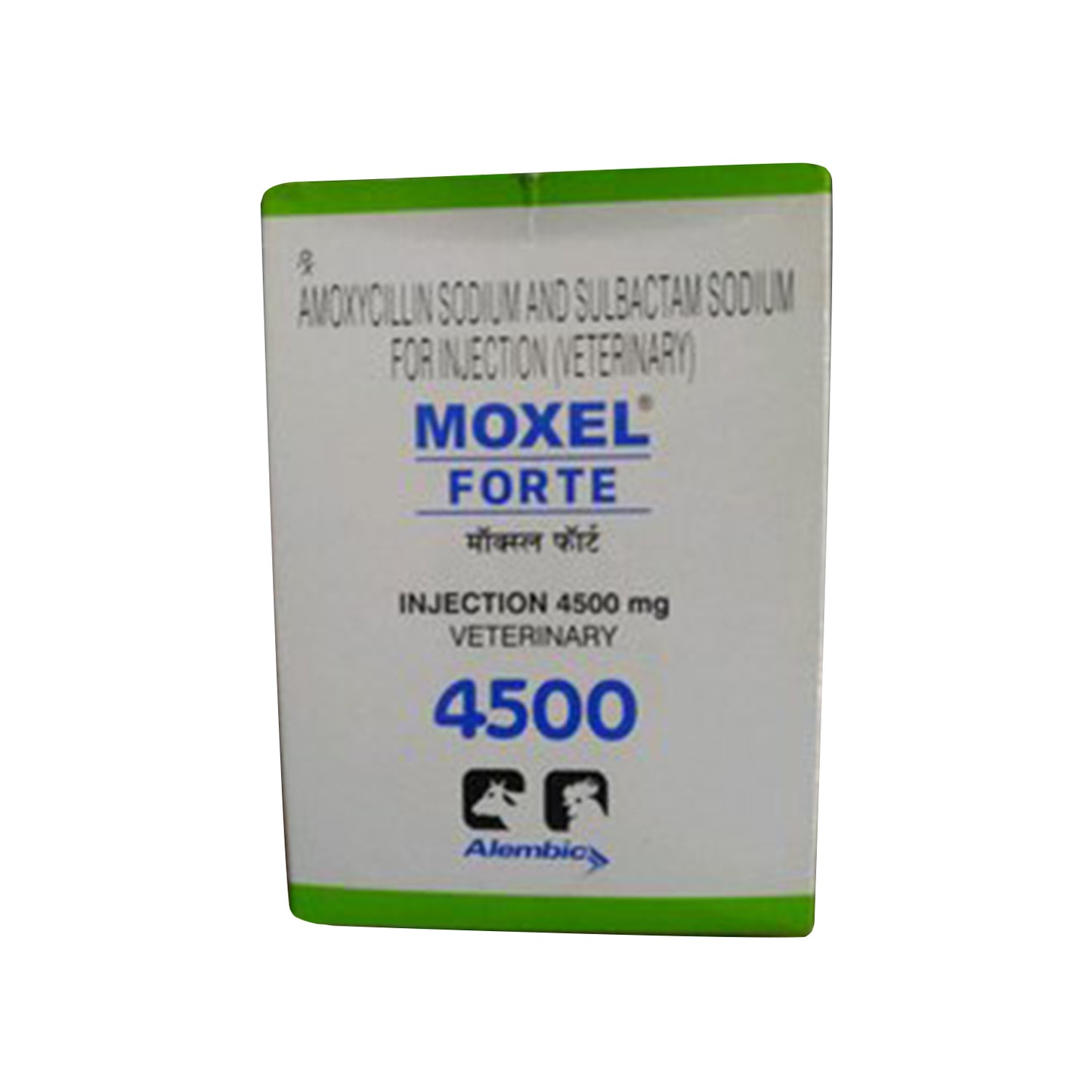 Alembic - Moxel Forte Injection