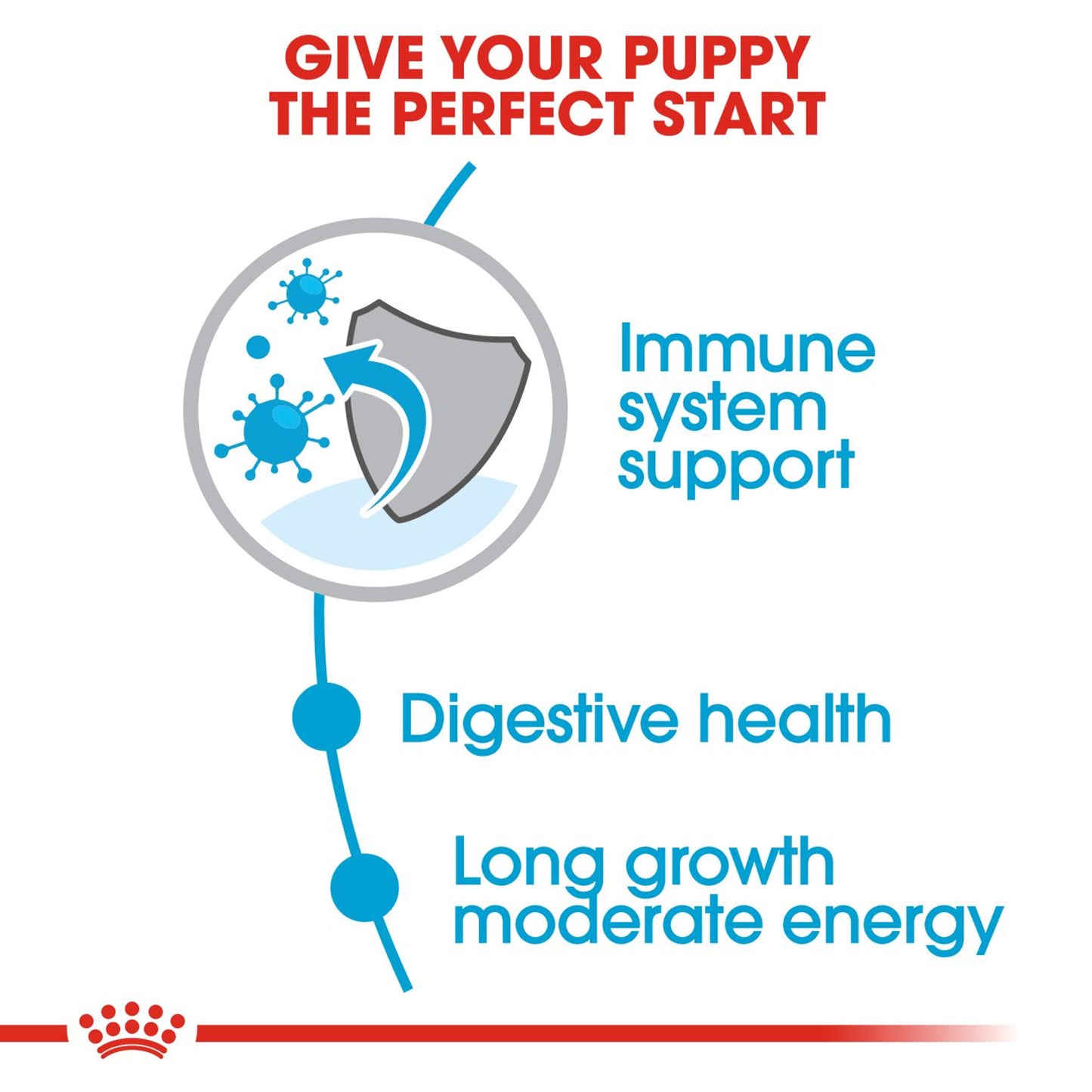 Royal Canin - Maxi Puppy Dry Food