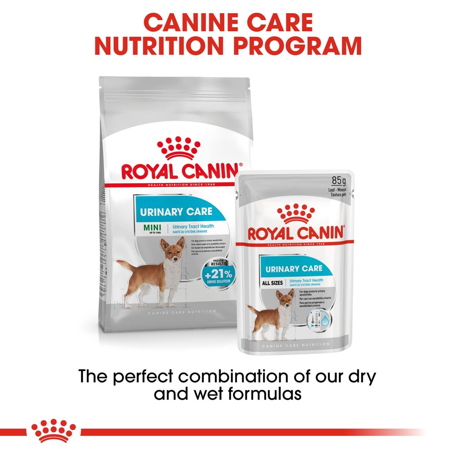 Royal Canin - Mini Urinary Care Dry Dog Food