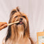 Happy Puppy Organics - Tooth Powder and Brush Combo For Dogs