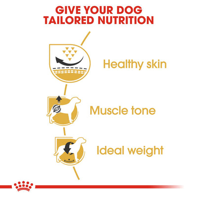 Royal Canin - Pug Adult Dry Dog Food