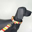 Forfurs - Poolside chilling Standard Leash For Dogs & Cats